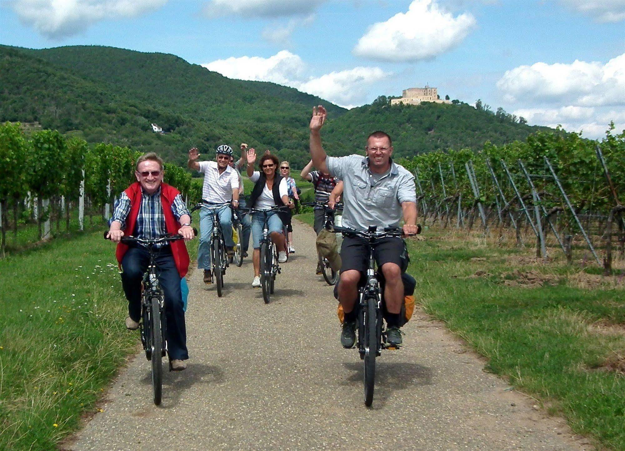 Hotel Hotel&living Am Wartturm Speyer